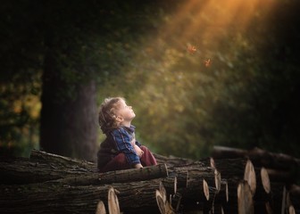 Young caucasian boy wathing falling leaves in autumn. Curly hair boy