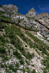 Rocky mountains covered with greenery.