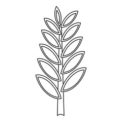 Fototapeta premium Spica icon, outline style