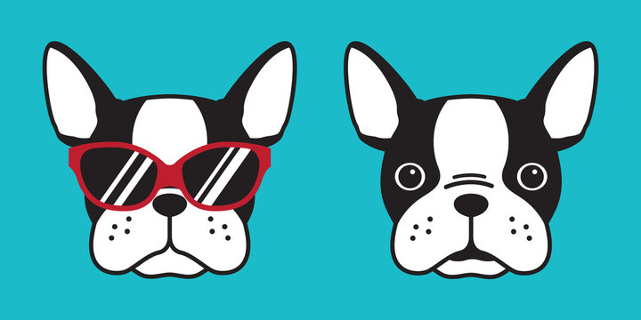 dog vector french bulldog icon logo sunglasses cartoon illustration character doodle