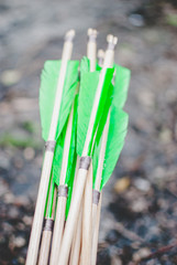 Traditional bow wooden arrows with green feathers