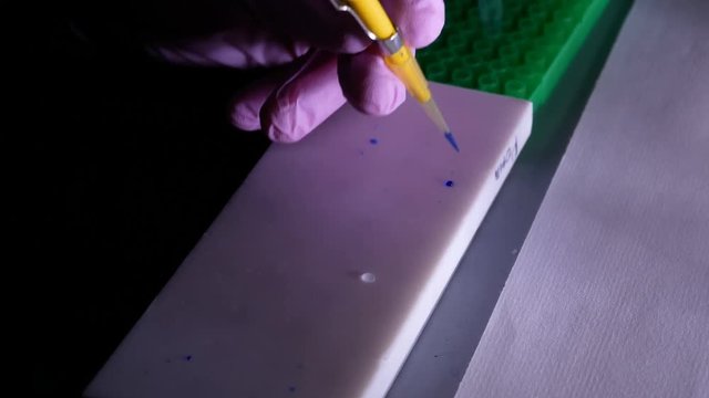 The application of DNA mixed with the application buffer into the agarose gel with an automatic pipette