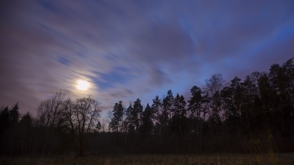 Evening sky over forest. Natural landscape with forest and sky.