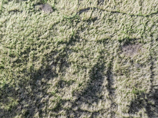 Looking down on coastal sand dunes. Aerial image. A view straight down on the sand dune and vegetation around Porthmadog beach, Wales, UK. Taken from the air but a drone.