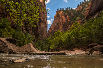 Zion National Park  © Robert