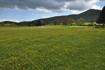 Prato primaverile in centro equestre e sullo sfondo alberi e colline. Pratoni del Vivaro, Castelli Romani, Lazio, Italia