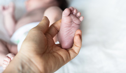 Newborn baby feet in mother hand.