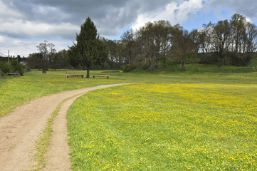 Prato primaverile in centro equestre, con sentiero, percorso e ostacoli e sullo sfondo alberi. Pratoni del Vivaro, Castelli Romani, Lazio, Italia