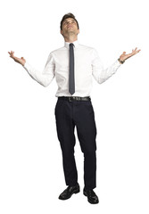 isolated caucasian businessman