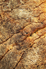 caked thick crust of bread