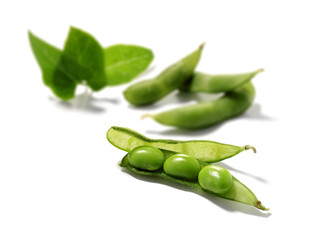 organic green soybeans