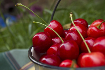 cherry