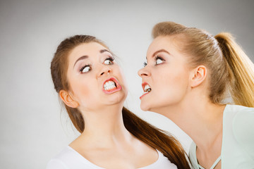 Two agressive women having argue fight