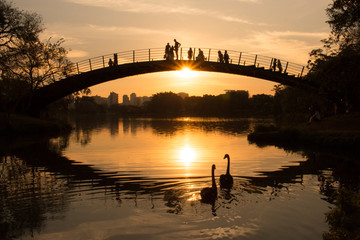 People watching a colorful sunset by the lake, at Ibirapuera Park, Sao Paulo, Brazil
