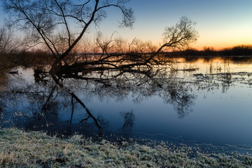 Poranek nad Biebrzą © podlaski49