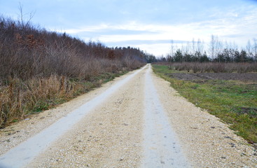 droga przez pola i las