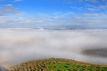 fog landscape in Lower Galilee, Nazareth, Israel