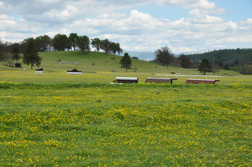 Prato primaverile con ostacoli,  in centro equestre e sullo sfondo alberi e colline. Pratoni del Vivaro, Castelli Romani, Lazio, Italia