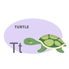Turtle on alphabet.