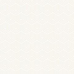 Vector seamless subtle stripes pattern. Modern stylish texture with monochrome trellis. Repeating geometric hexagonal grid. Simple lattice graphic design.