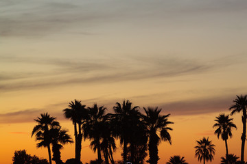 Obraz na płótnie Canvas Arizona Sunset