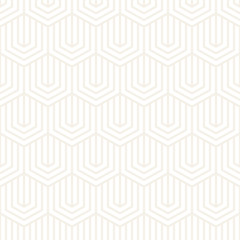 Vector seamless subtle stripes pattern. Modern stylish texture with monochrome trellis. Repeating geometric hexagonal grid. Simple lattice graphic design.