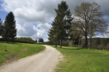Percorso, sentiero su prato primaverile, in centro equestre con alberi, cielo azzurro e nuvole. Pratoni del Vivaro, Castelli Romani, Lazio, Italia