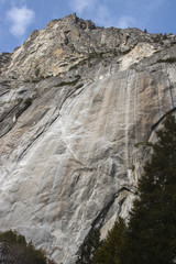 Fototapeta na wymiar Cliffs of Granite Rise from Valley Floor in Yosemite National Park California