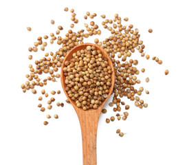 coriander seeds in wooden spoon isolated on white background top view