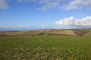 wolds agriculture