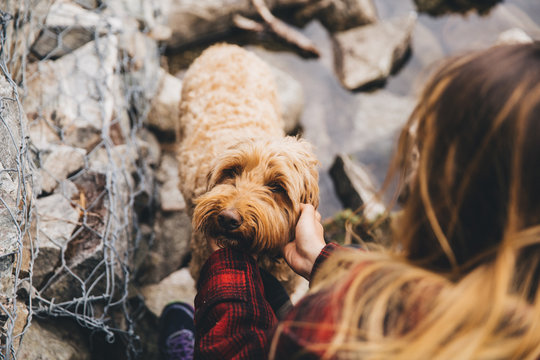 Dog Smiling at Camera While Being Scratched Behind Ear