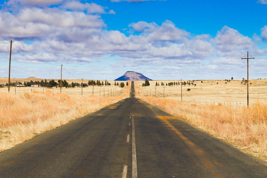 Perspective road from Orange Free State, South Africa