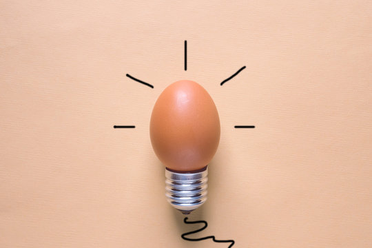 Light Bulb Egg shell on Base Concept  Energy Saving