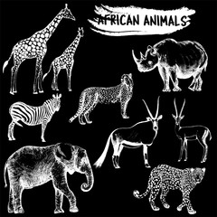 Hand drawn sketch style set of African animals - giraffe, zebra, elephant, cheetah, oryx, leopard, gazelle and rhino. Vector illustration isolated on black background.