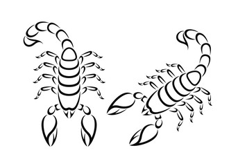 Outline scorpion. Isolated scorpion on white background