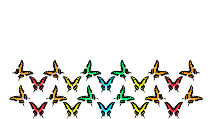 butterflies in order of chess board, with copy space, colors of the rainbow