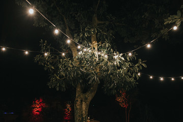 bohemian night wedding decoration