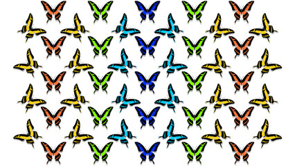 butterflies in order of chess board, all colors of the rainbow