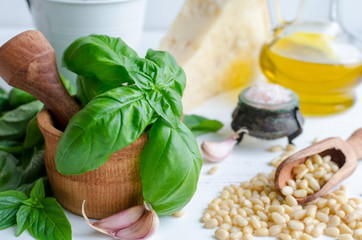 Green basil pesto ingredients
