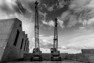Cranes