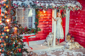 Beautiful girl in a white dress with Husky dog stand at the entrance door to the house on the...
