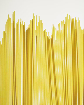 Spaghetti pasta on white backdrop