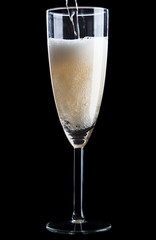 Champagne glass on black background
