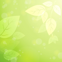 Shining green natural background with bokeh and leaves. Spring. Summer. Vector. Eps 10.