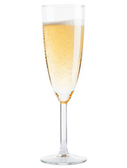 Champagne glass on white background