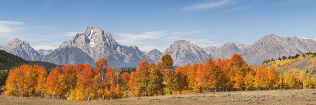Mount Moran