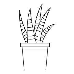 Succulent house plant icon, outline style
