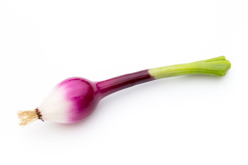 Green onion isolated on the white background.