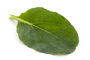 Obraz premium Spinach leaves close up isolated on white.