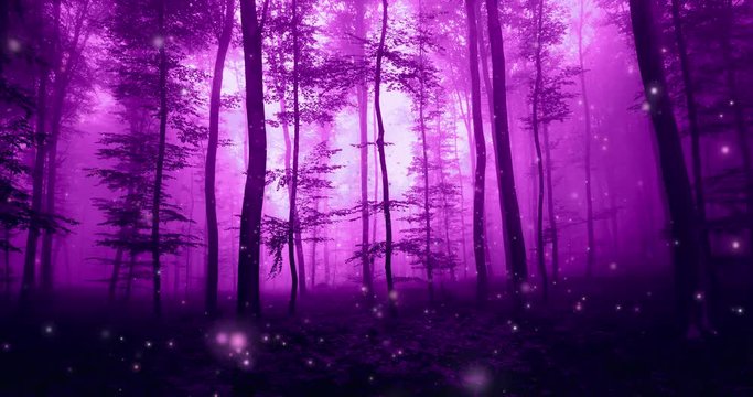 Dark pink colored foggy forest fairytale with firelies lights movement. 